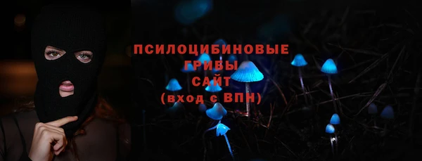 СК Алексин