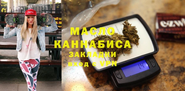 СК Алексин