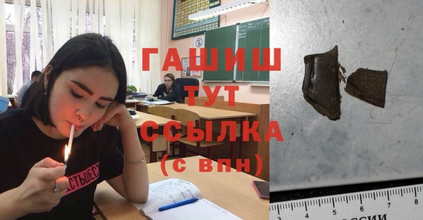 СК Алексин