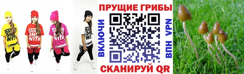 Галлюциногенные грибы Cubensis  где можно купить наркотик  Тюкалинск 